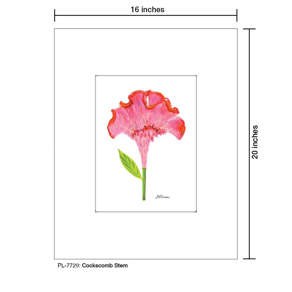 Cockscomb Stem, Print (#7729) - Printed Canvas