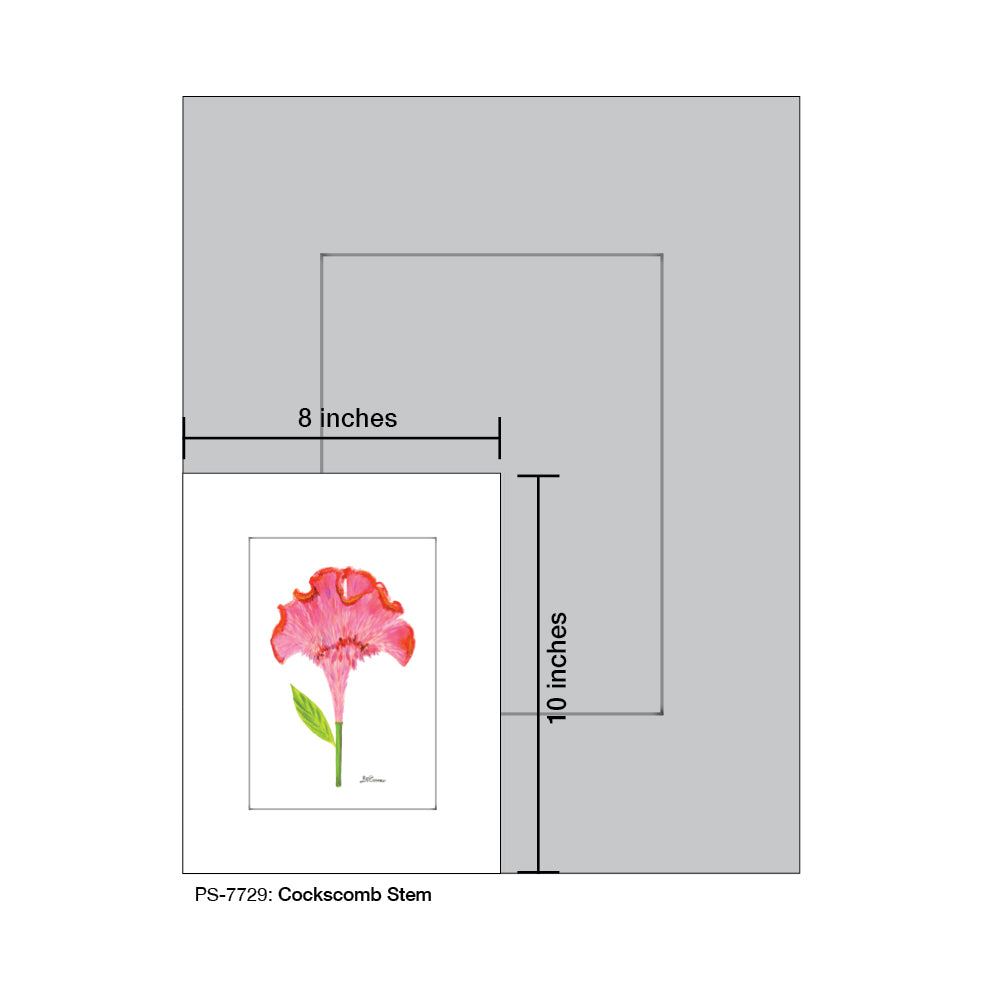 Cockscomb Stem, Print (#7729) - Printed Canvas