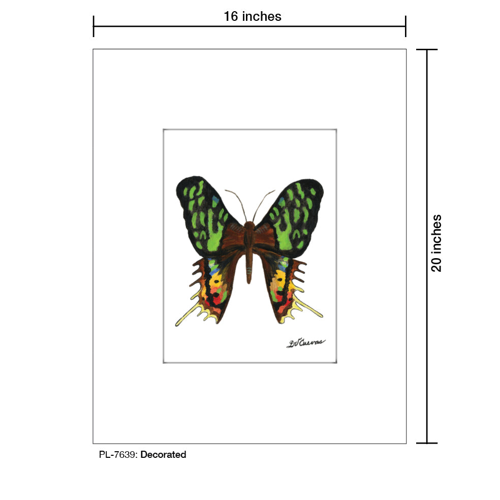 Decorated, Print (#7639B), Printe Matted, www.printedcanvas.com