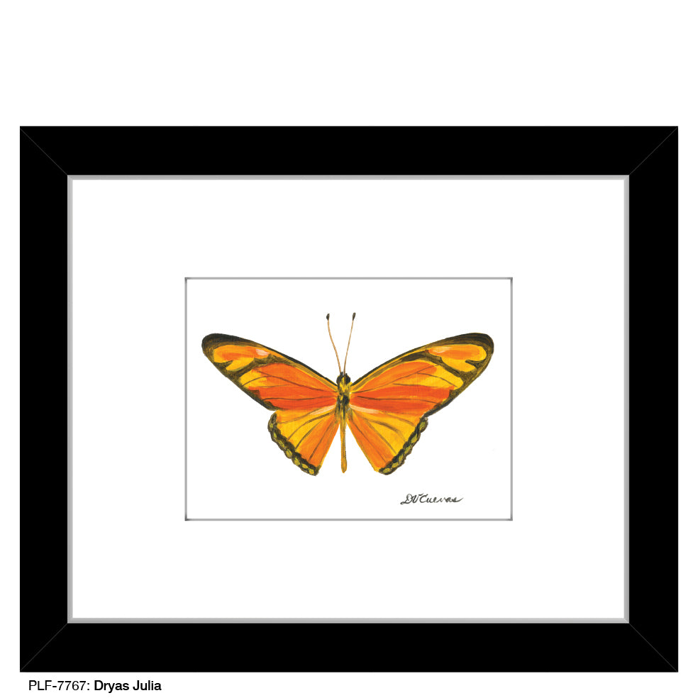 Dryas Julia, Print (#7767B), Print Matted, www.printedcanvas.com