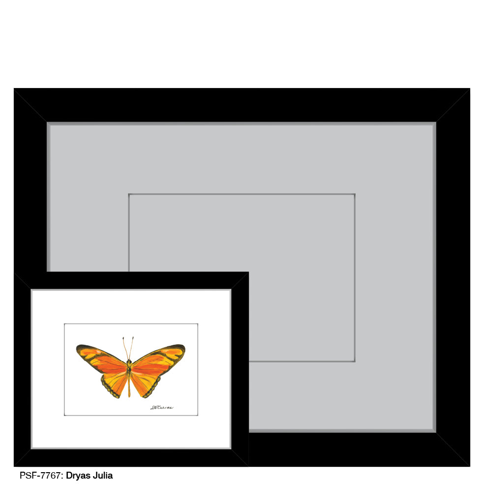 Dryas Julia, Print (#7767) - Printed Canvas