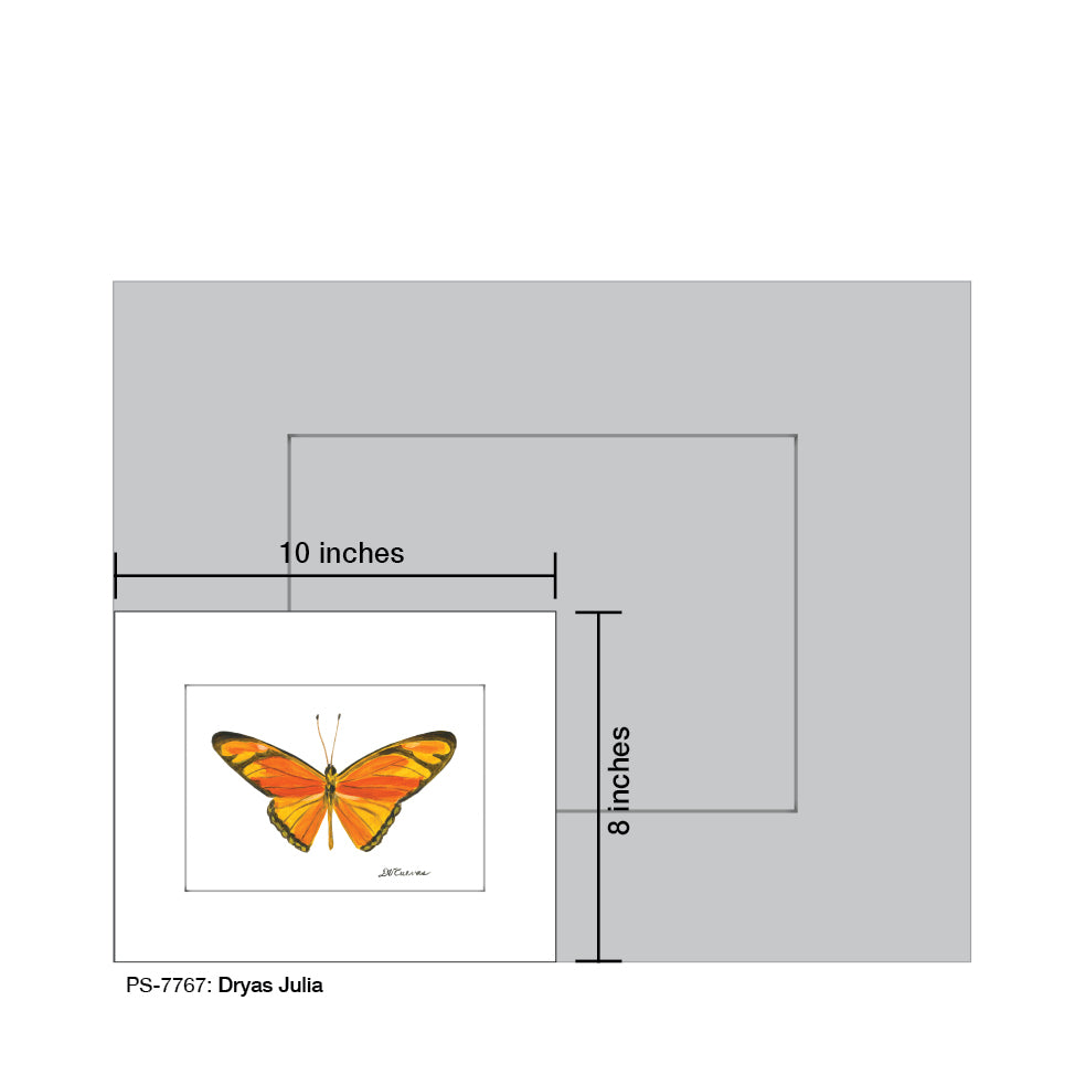 Dryas Julia, Print (#7767B), Print Matted, www.printedcanvas.com