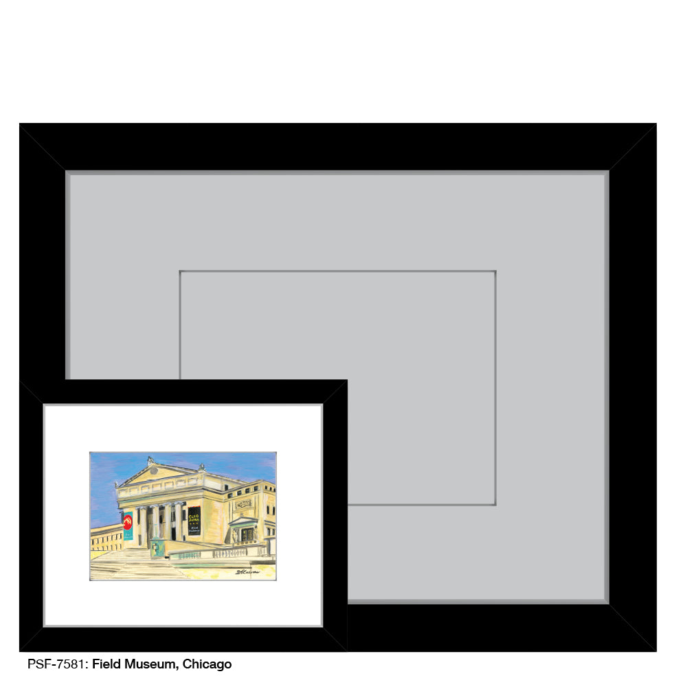 Field Museum, Chicago, Print (#7581) - Printed Canvas