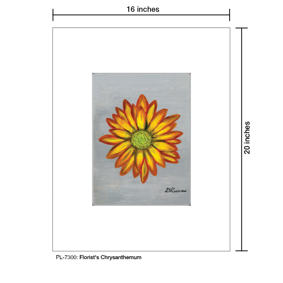 Florist's Chrysanthemum, Print (#7300A), Printe Matted, www.printedcanvas.com