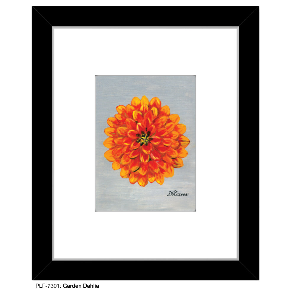 Garden Dahlia, Print (#7301) - Printed Canvas