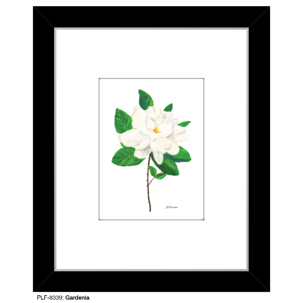 Gardenia, Print (#8339B), Print Matted, www.printedcanvas.com