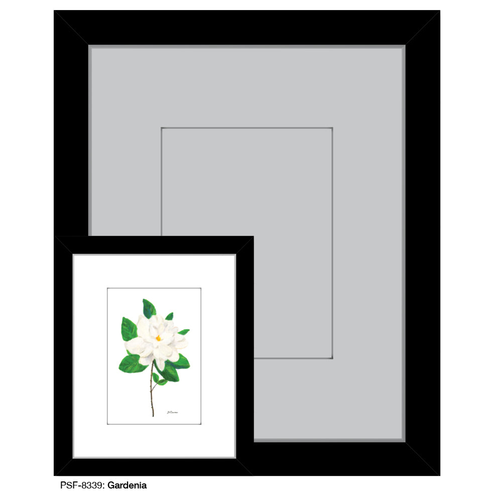 Gardenia, Print (#8339B), Print Matted, www.printedcanvas.com