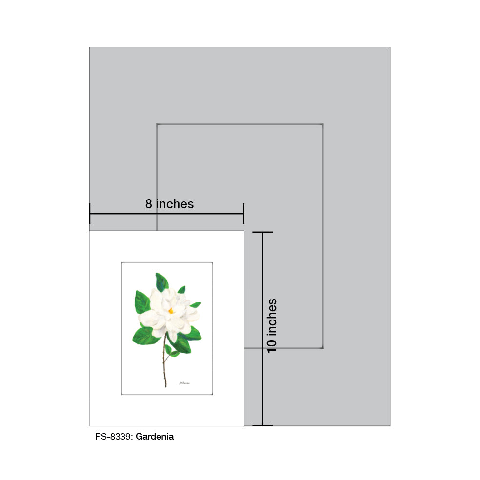 Gardenia, Print (#8339B), Print Matted, www.printedcanvas.com