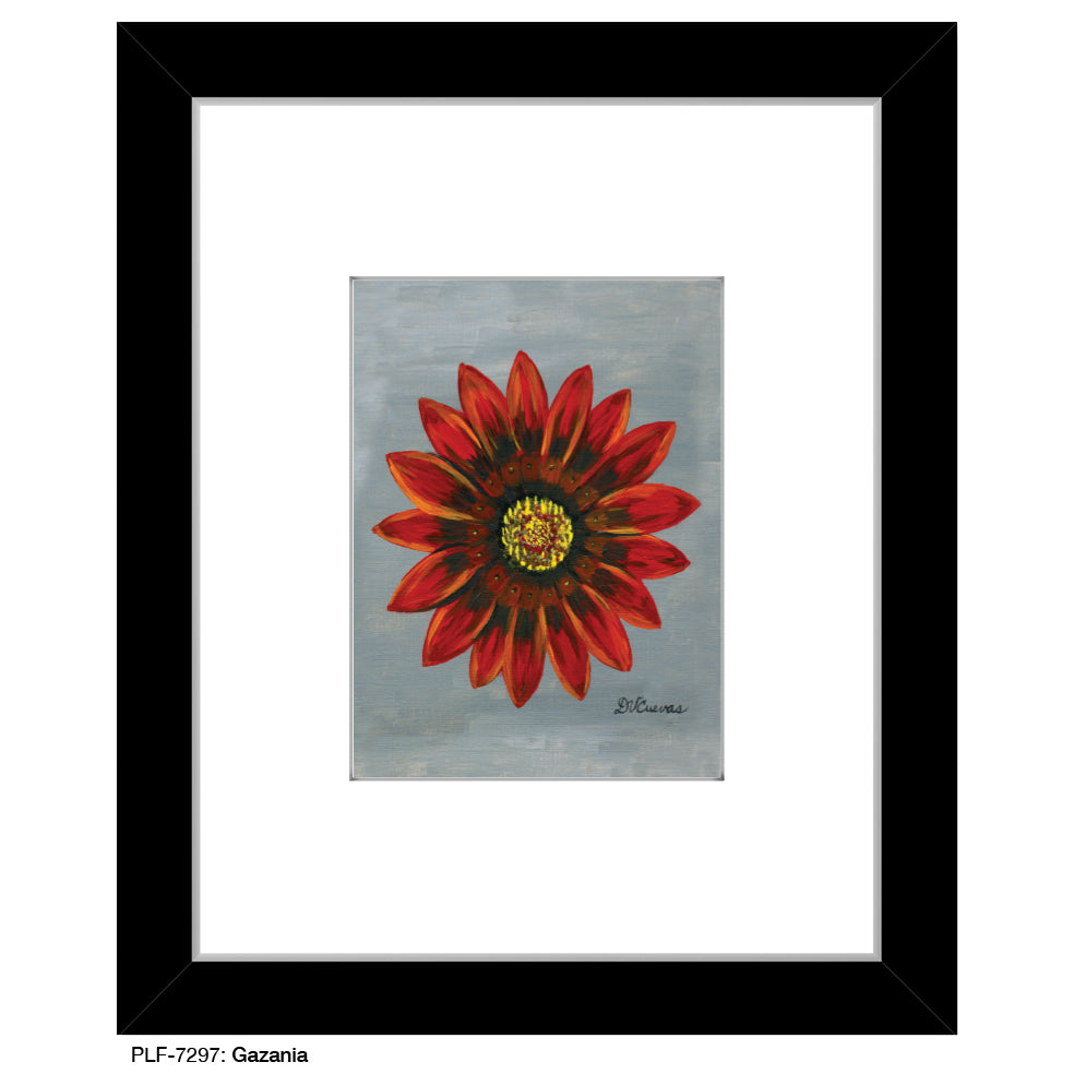 Gazania, Print (#7297) - Printed Canvas