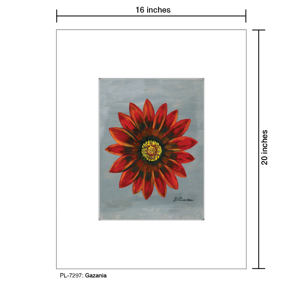 Gazania, Print (#7297) - Printed Canvas