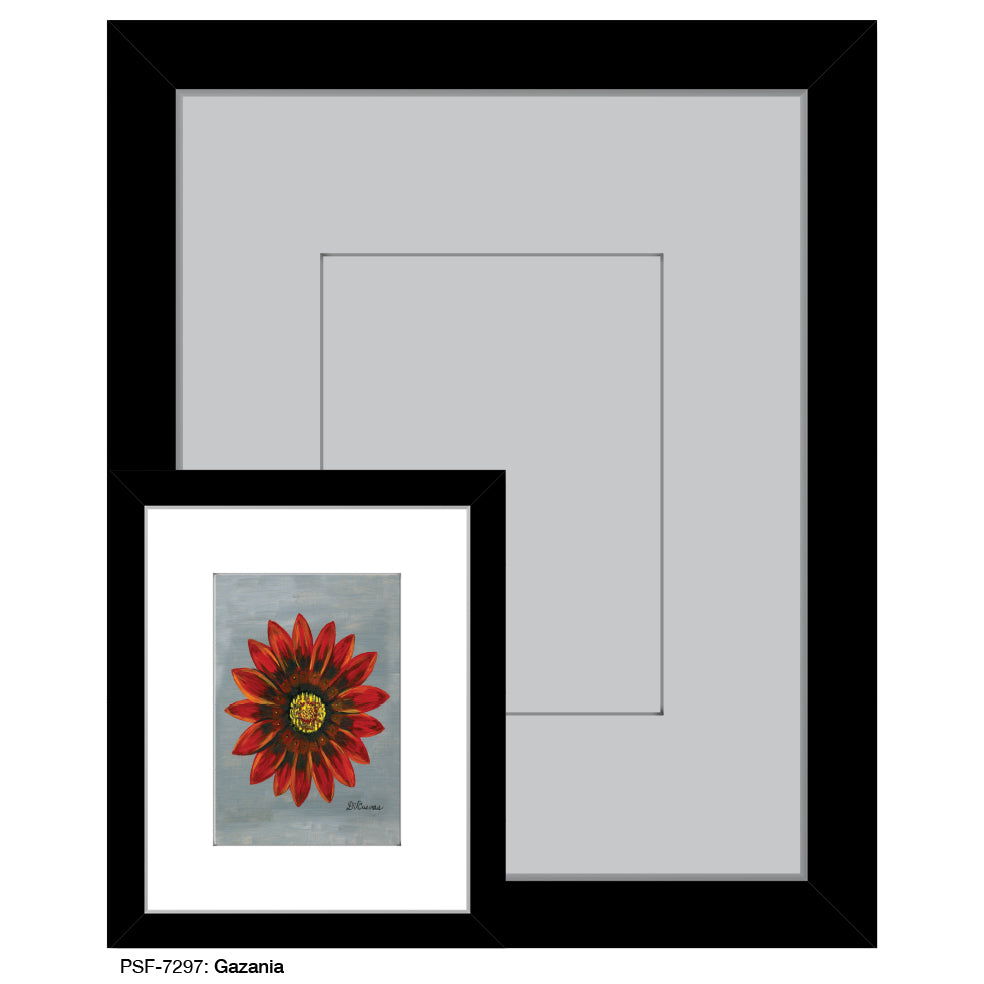 Gazania, Print (#7297) - Printed Canvas