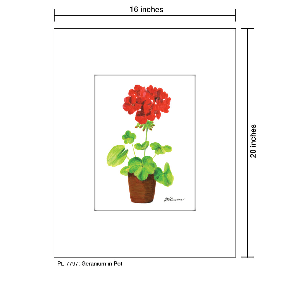 Geranium In Pot, Print (#7797) - Printed Canvas