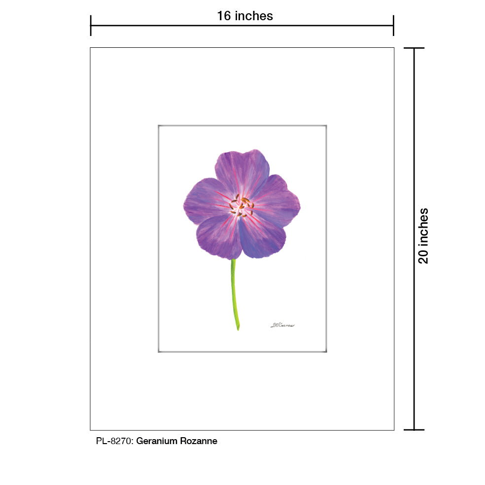 Geranium Rozanne, Print (#8270A), Printe Matted, www.printedcanvas.com
