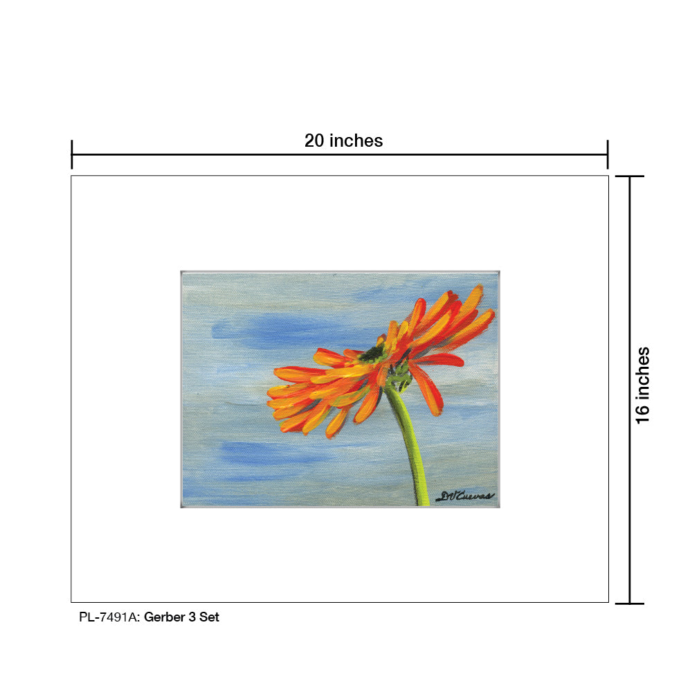 Gerber 3 Set, Print (#7491A), Printe Matted, www.printedcanvas.com