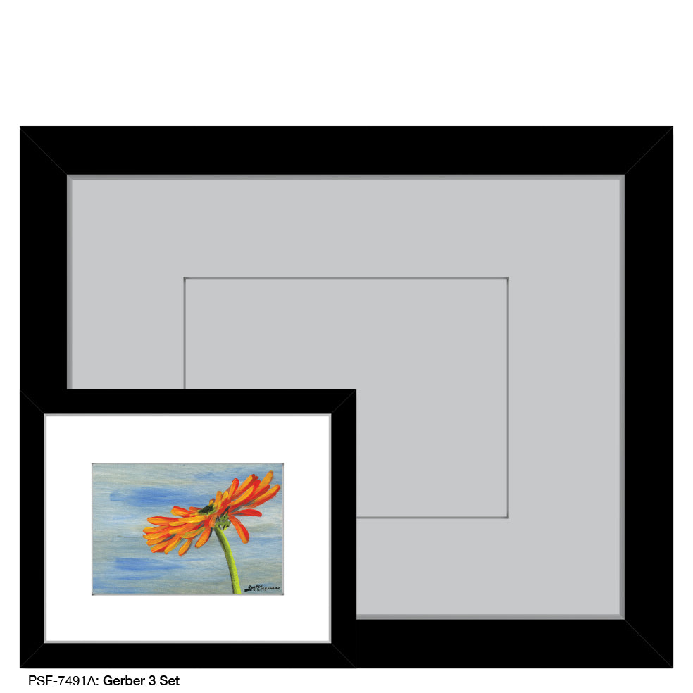 Gerber 3 Set, Print (#7491A) - Printed Canvas