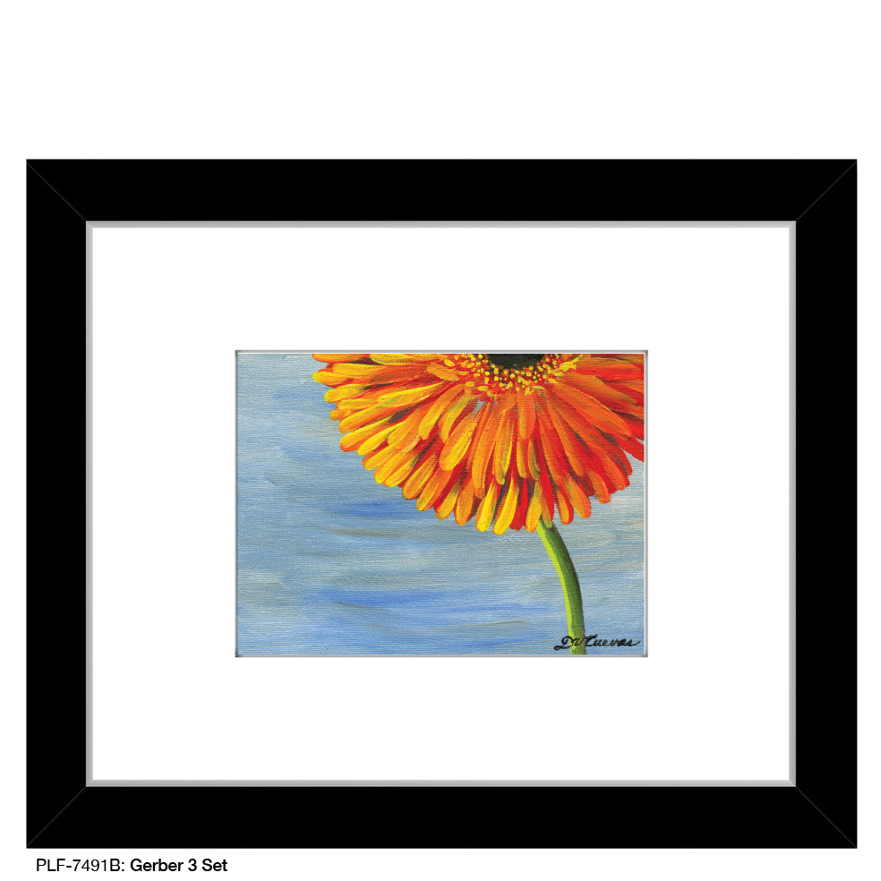 Gerber 3 Set, Print (#7491B) - Printed Canvas