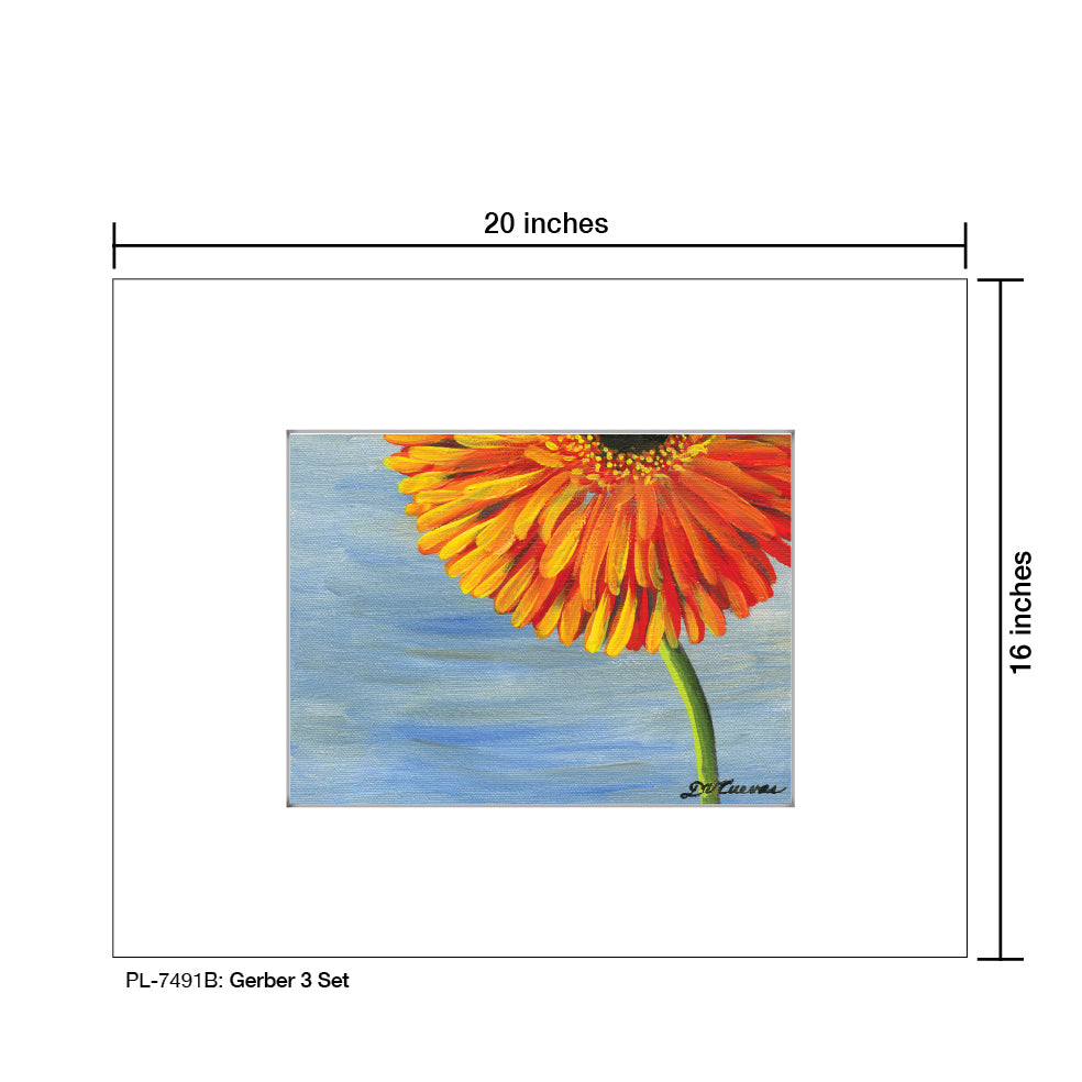 Gerber 3 Set, Print (#7491B) - Printed Canvas