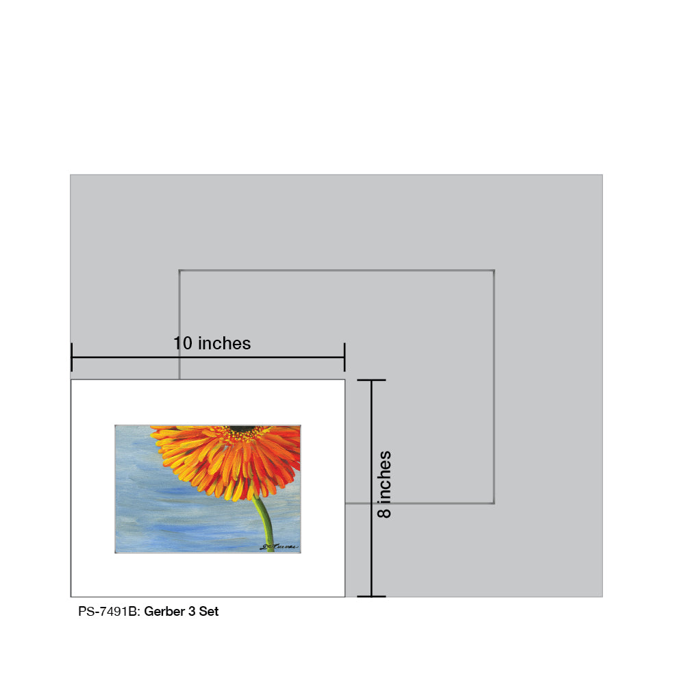 Gerber 3 Set, Print (#7491B) - Printed Canvas