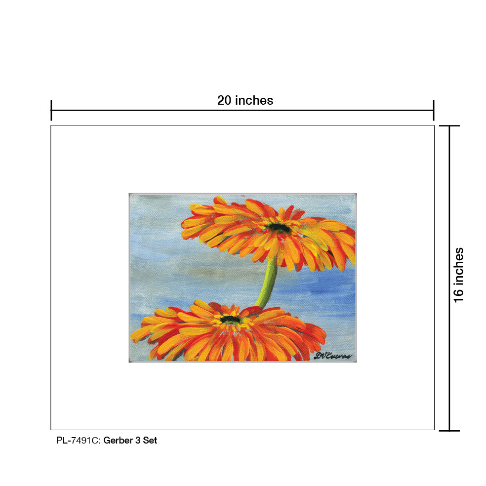 Gerber 3 Set, Print (#7491C) - Printed Canvas