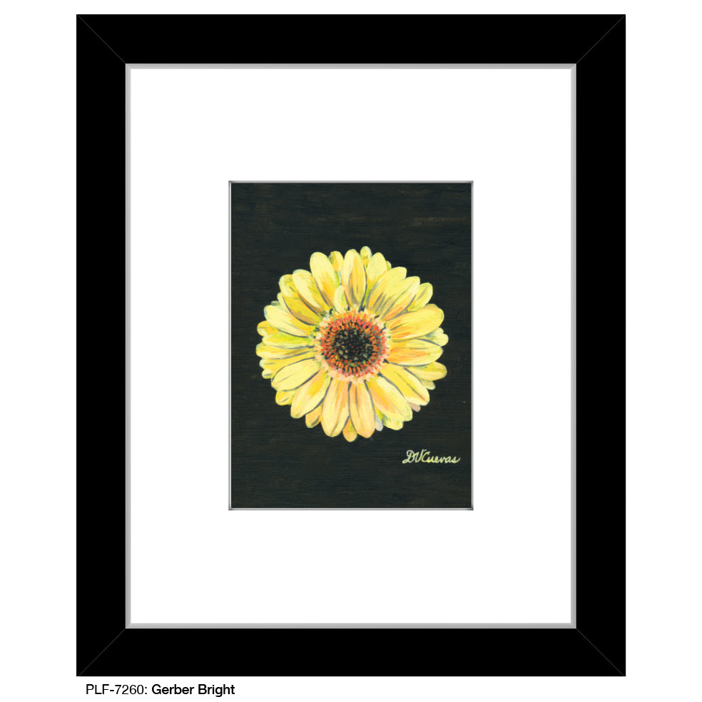 Gerber Bright, Print (#7260D), Print Matted, www.printedcanvas.com