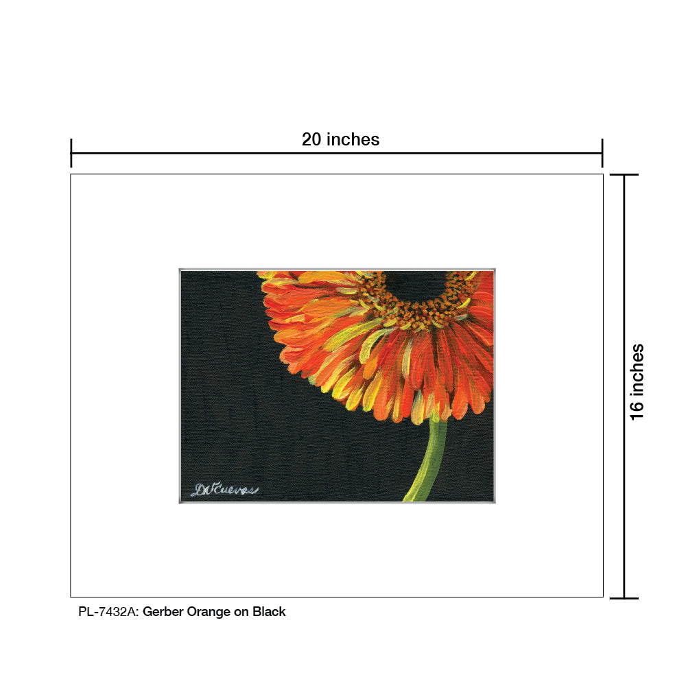 Gerber Orange on Black, Print (#7432A), Printe Matted, www.printedcanvas.com