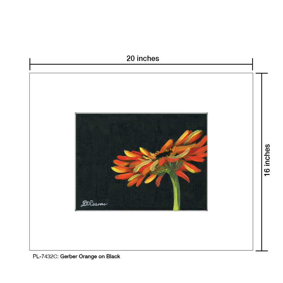 Gerber Orange on Black, Print (#7432C), Printe Matted, www.printedcanvas.com