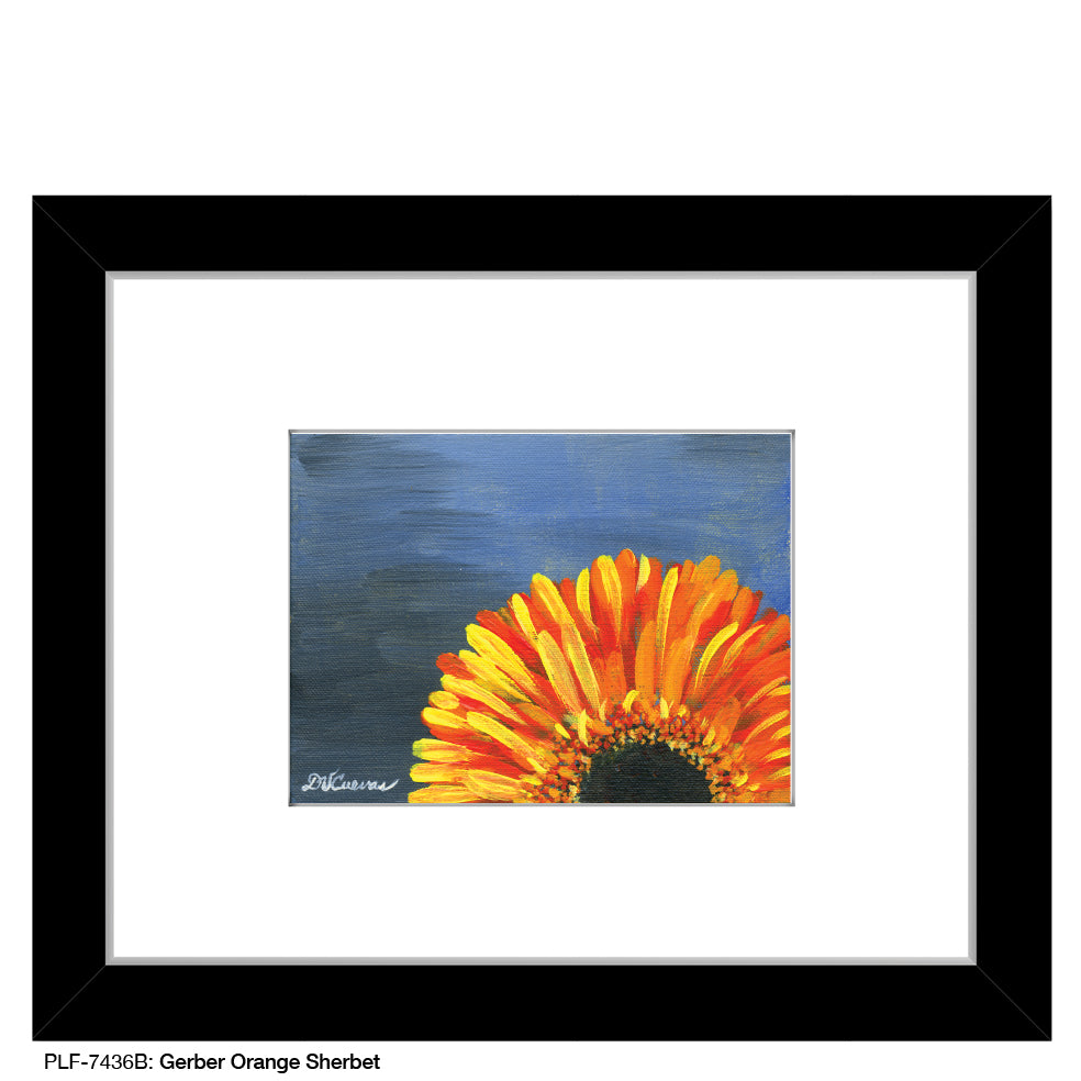 Gerber Orange Sherbet, Print (#7436B), Print Matted, www.printedcanvas.com