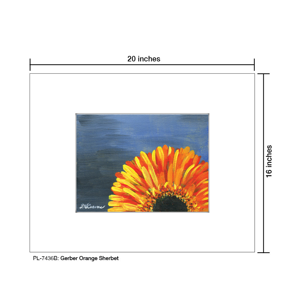 Gerber Orange Sherbet, Print (#7436B), Printe Matted, www.printedcanvas.com