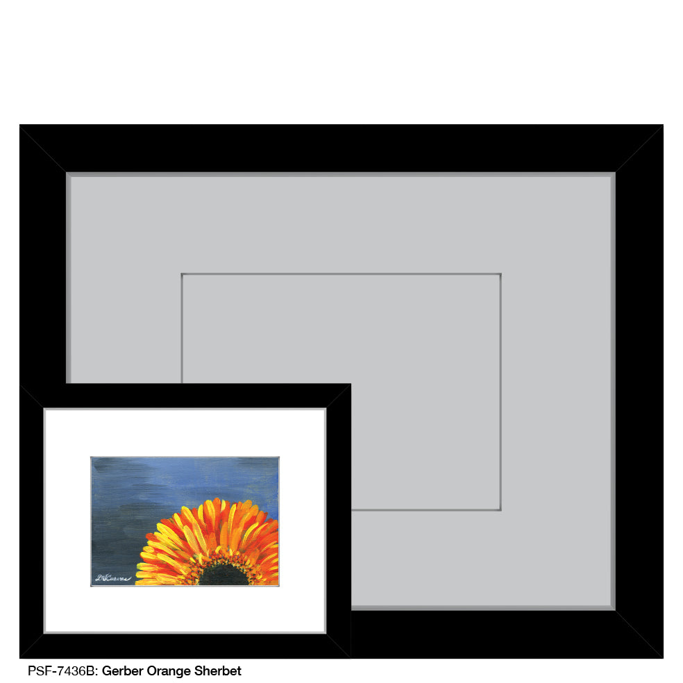 Gerber Orange Sherbet, Print (#7436B), Print Matted, www.printedcanvas.com