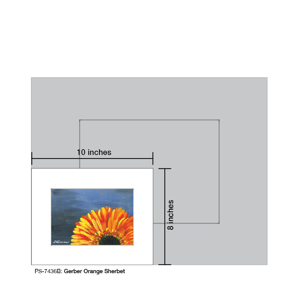 Gerber Orange Sherbet, Print (#7436B), Print Matted, www.printedcanvas.com
