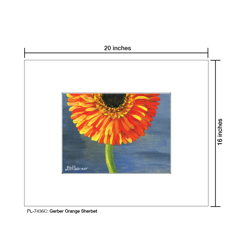 Gerber Orange Sherbet, Print (#7436C) - Printed Canvas