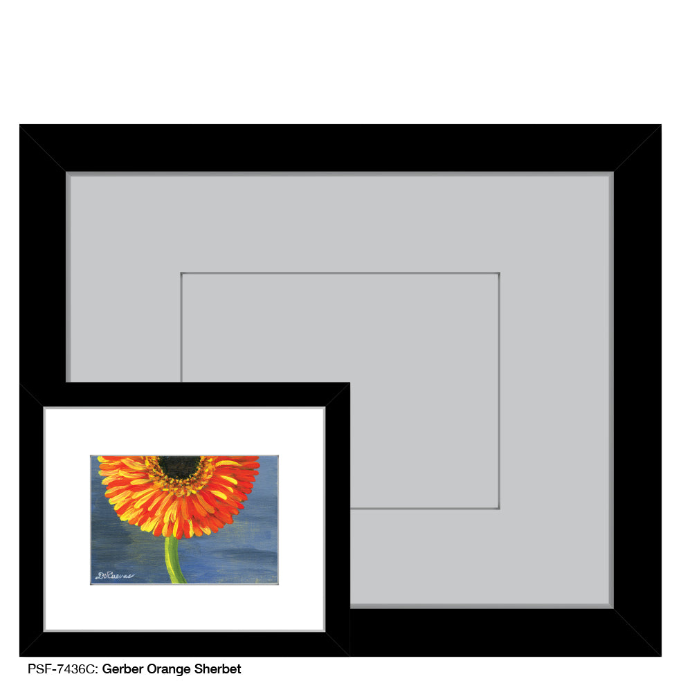 Gerber Orange Sherbet, Print (#7436C), Print Matted, www.printedcanvas.com