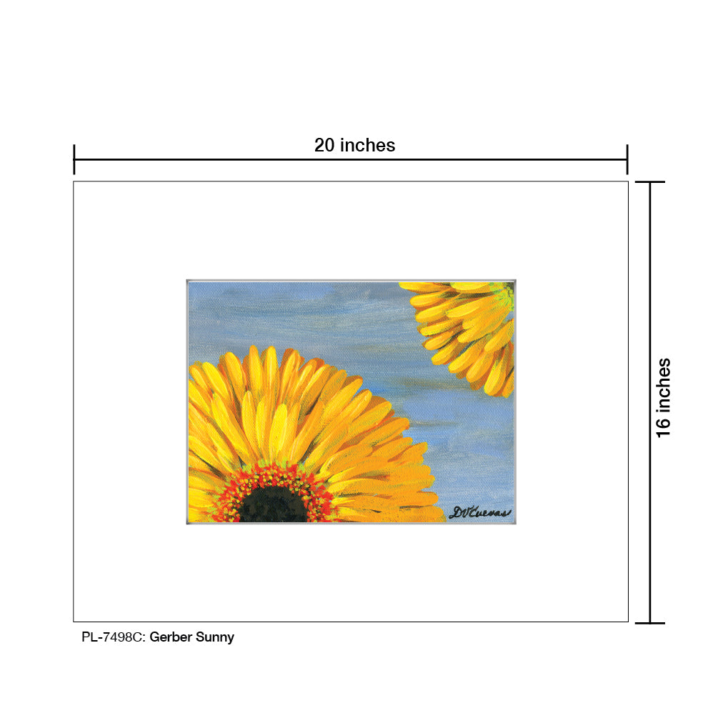 Gerber Sunny, Print (#7498C), Printe Matted, www.printedcanvas.com