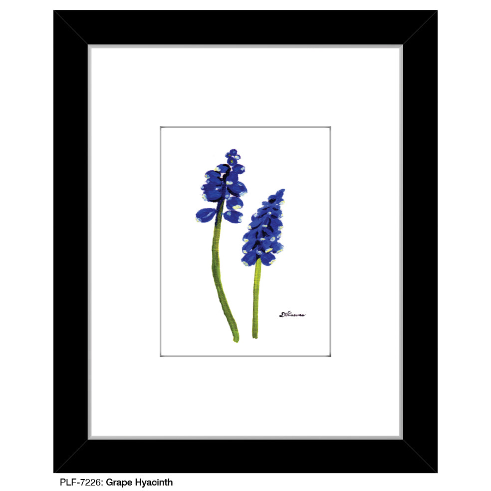 Grape Hyacinth, Print (#7226) - Printed Canvas