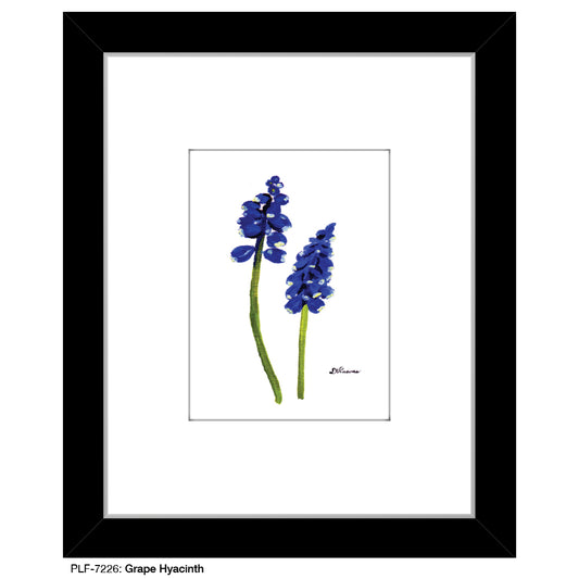 Grape Hyacinth, Print (#7226A), Print Matted, www.printedcanvas.com