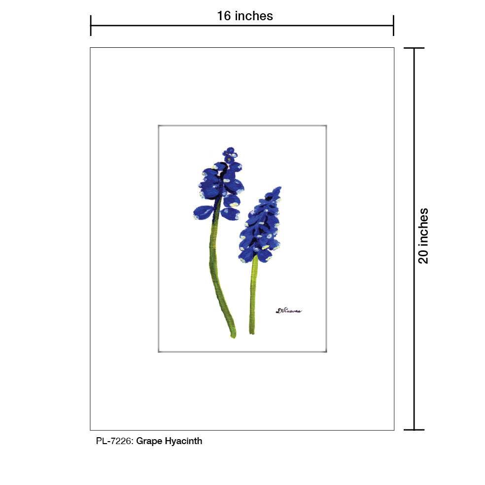 Grape Hyacinth, Print (#7226) - Printed Canvas