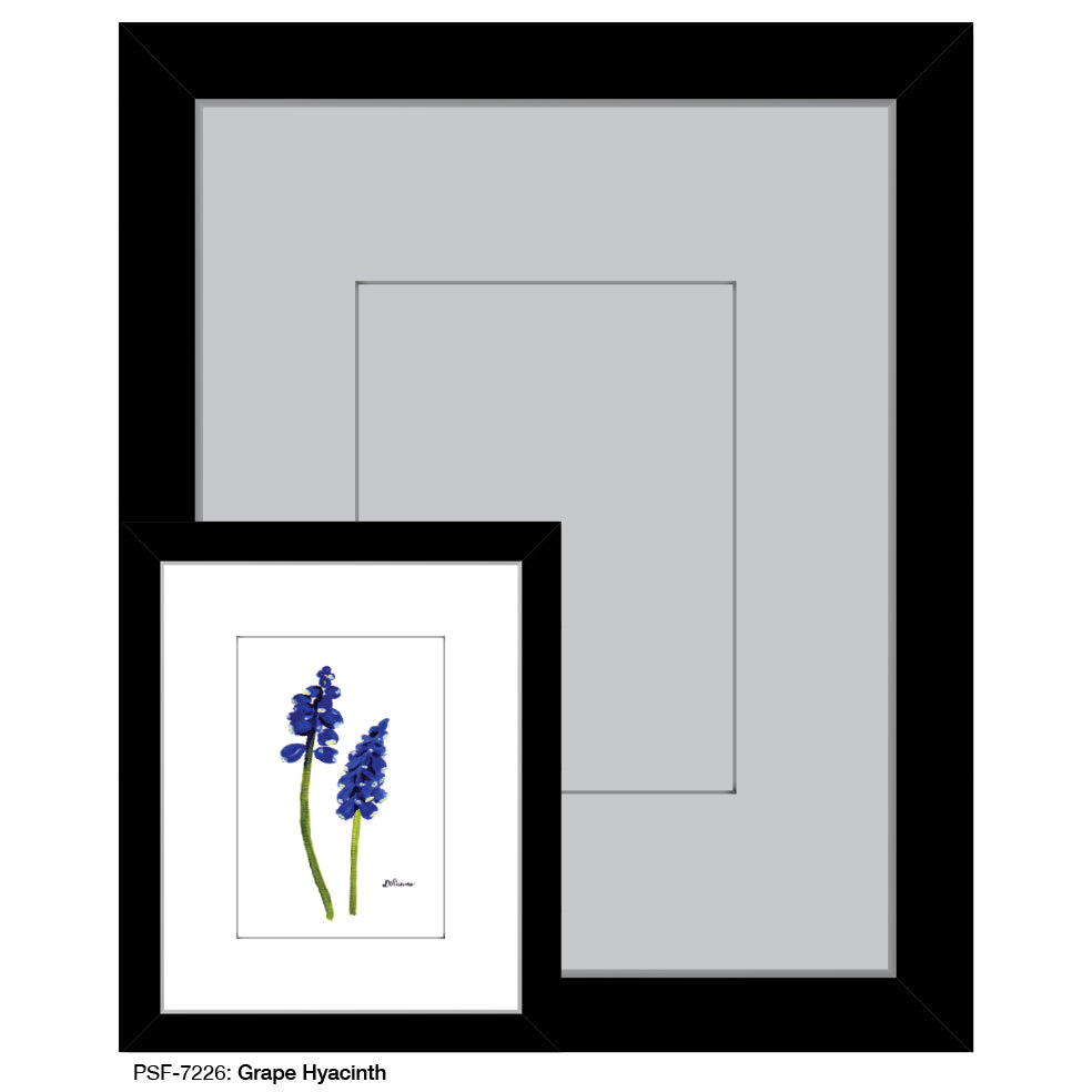 Grape Hyacinth, Print (#7226) - Printed Canvas