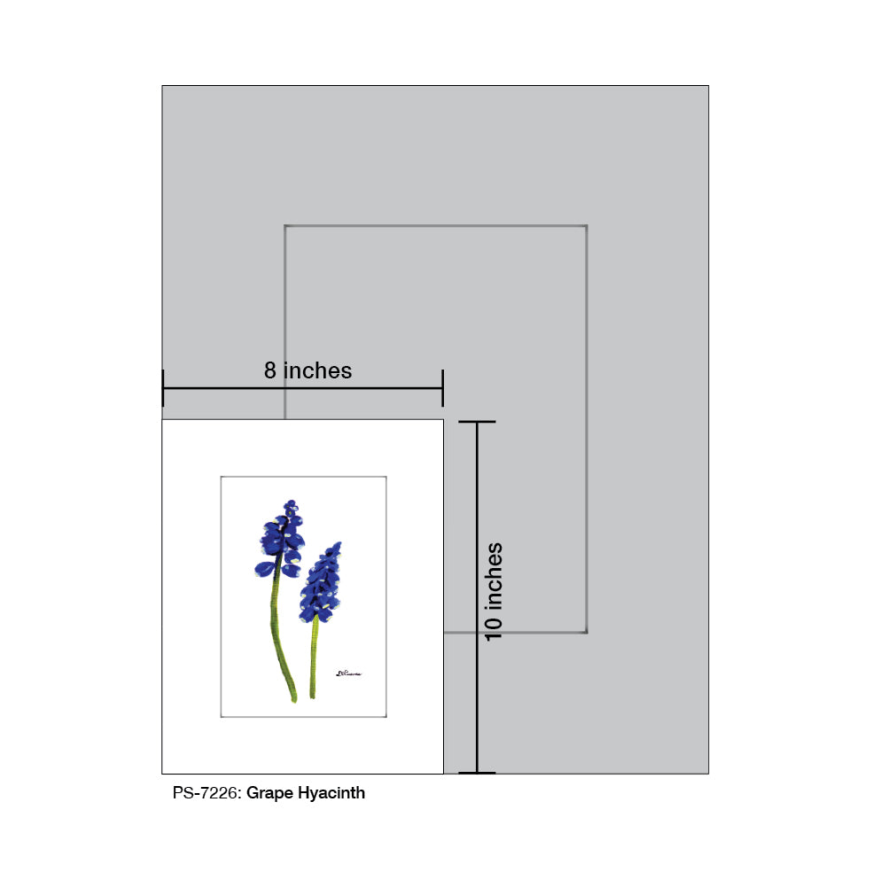 Grape Hyacinth, Print (#7226) - Printed Canvas