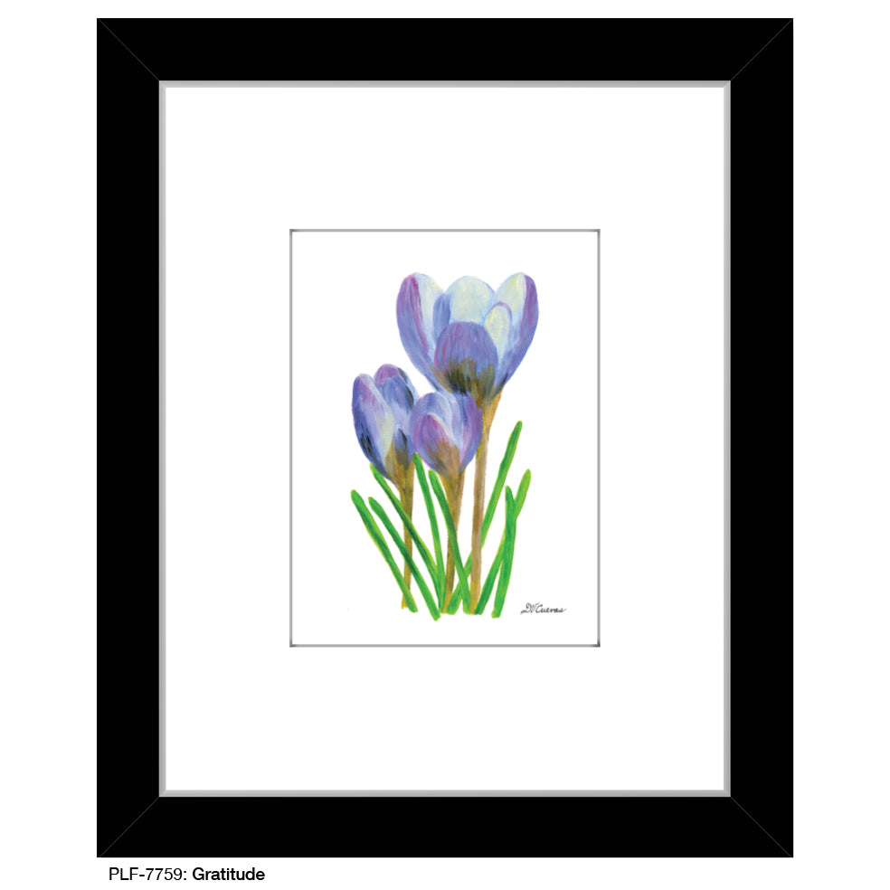 Gratitude, Print (#7759) - Printed Canvas