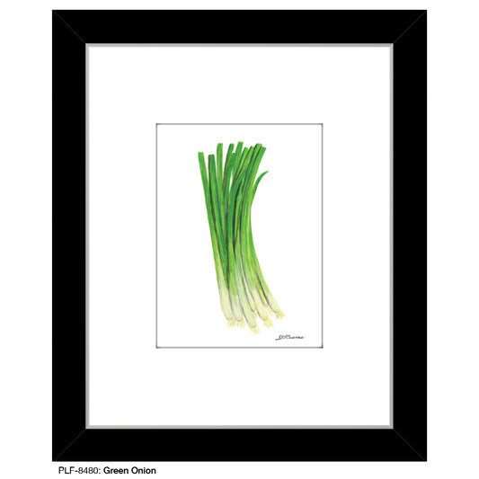 Green Onion, Print (#8480B), Print Matted, www.printedcanvas.com