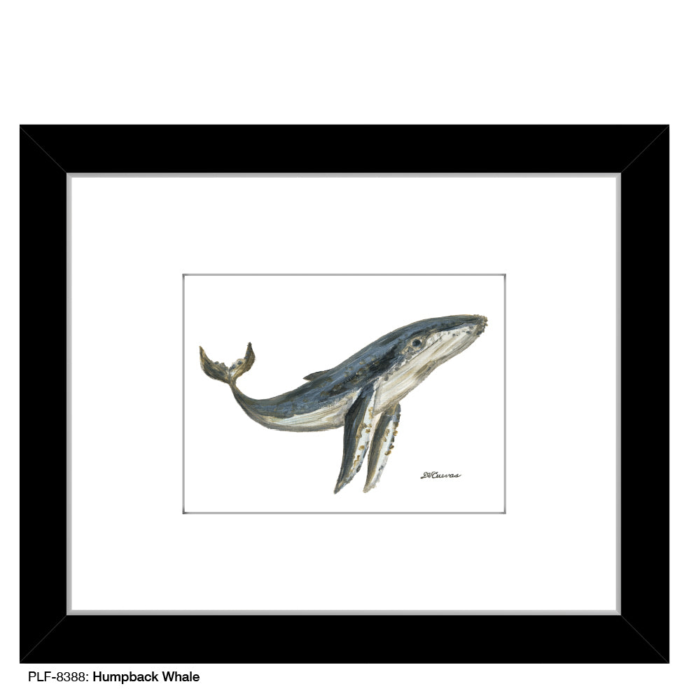 Humpback Whale, Print (#8388B), Print Matted, www.printedcanvas.com