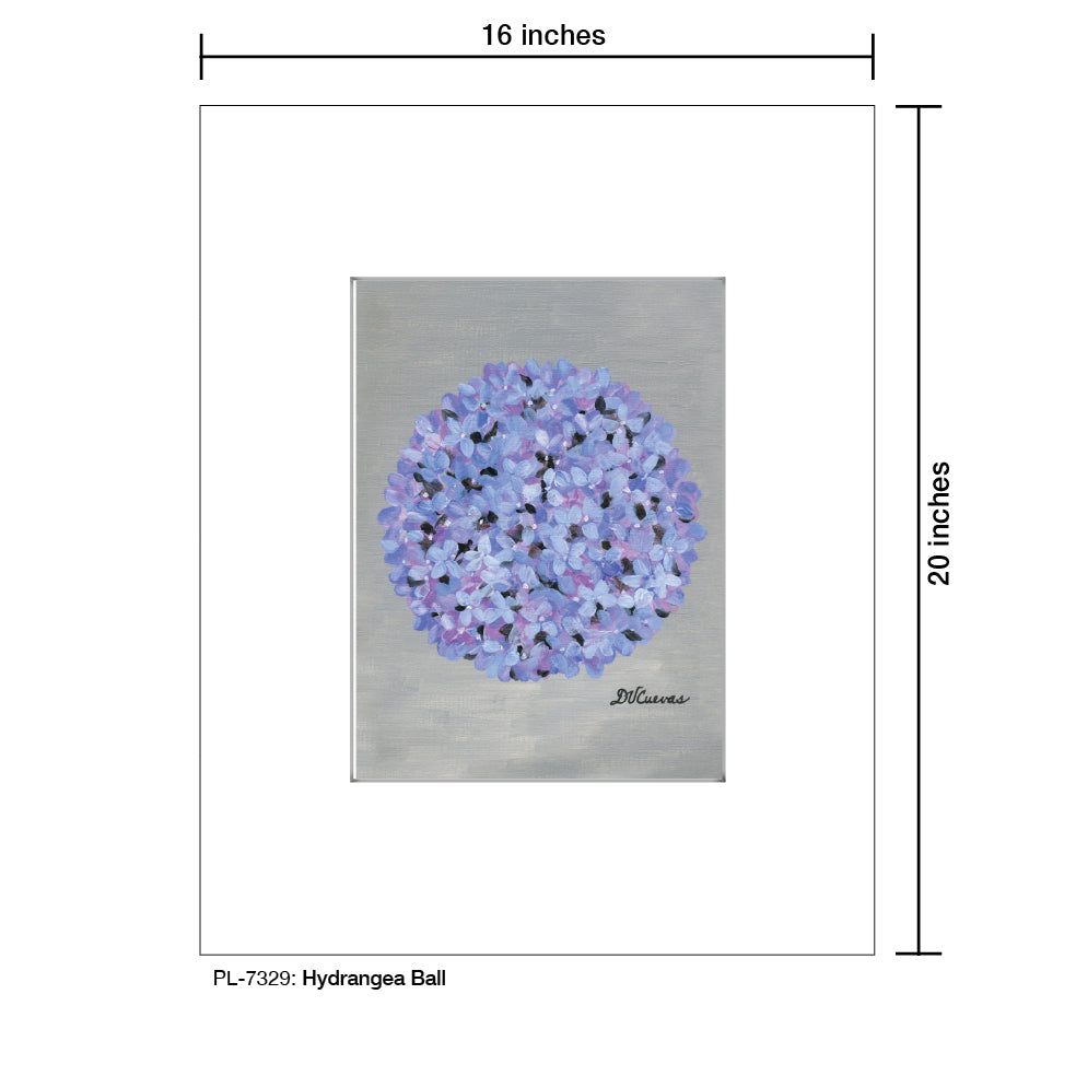 Hydrangea Ball, Print (#7329A), Printe Matted, www.printedcanvas.com