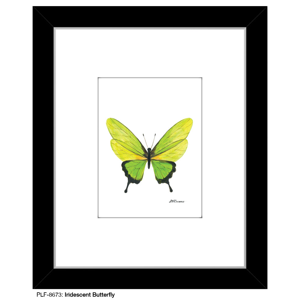 Iridescent Butterfly, Print (#8673D), Print Matted, www.printedcanvas.com