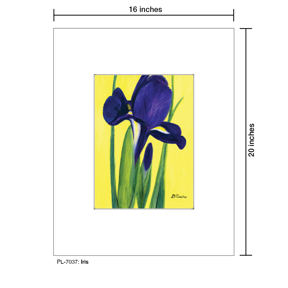 Iris, Print (#7037D), Printe Matted, www.printedcanvas.com