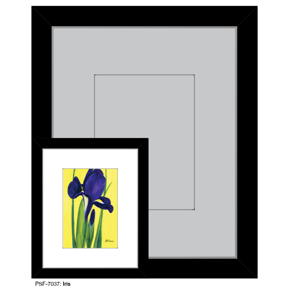 Iris, Print (#7037D), Print Matted, www.printedcanvas.com