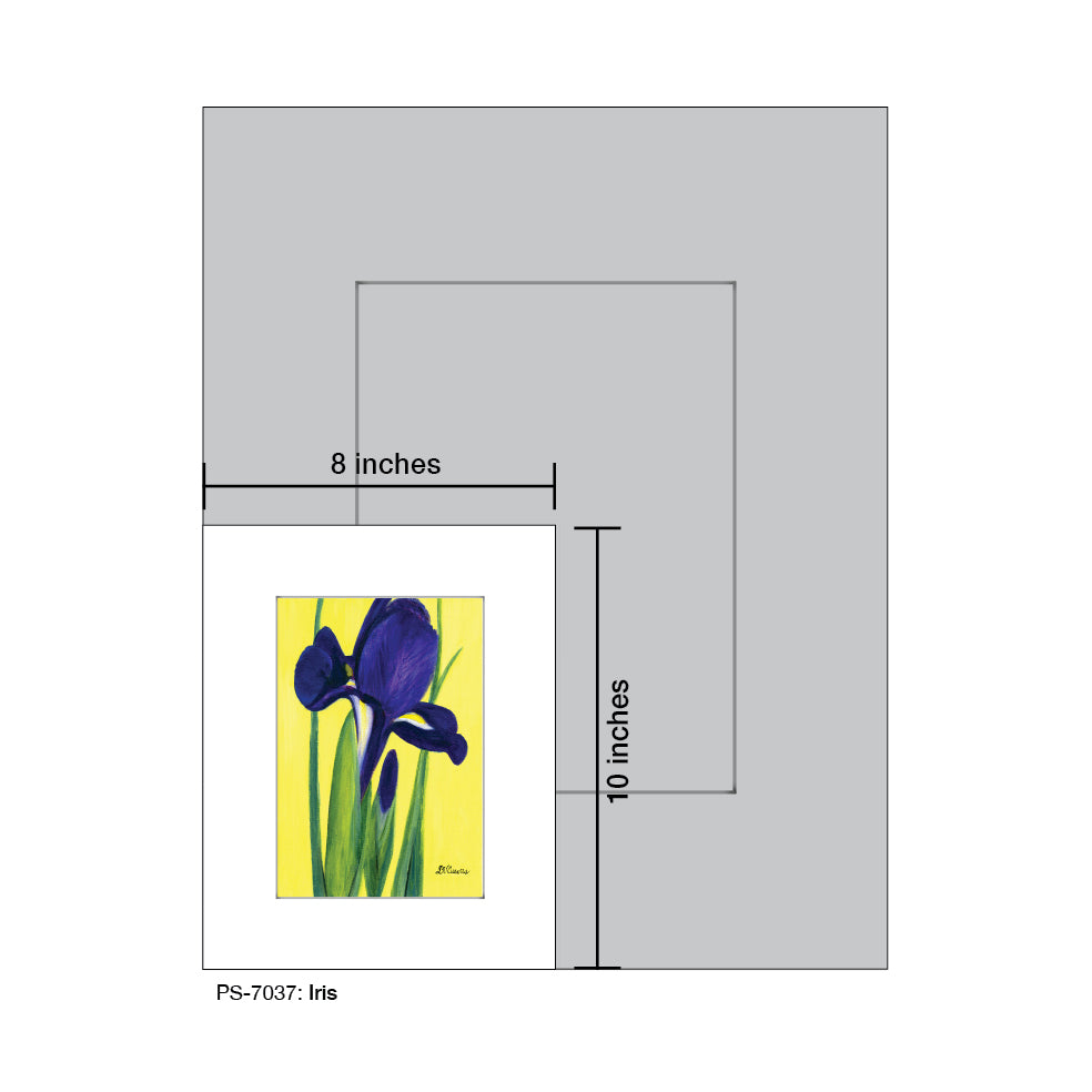 Iris, Print (#7037D), Print Matted, www.printedcanvas.com