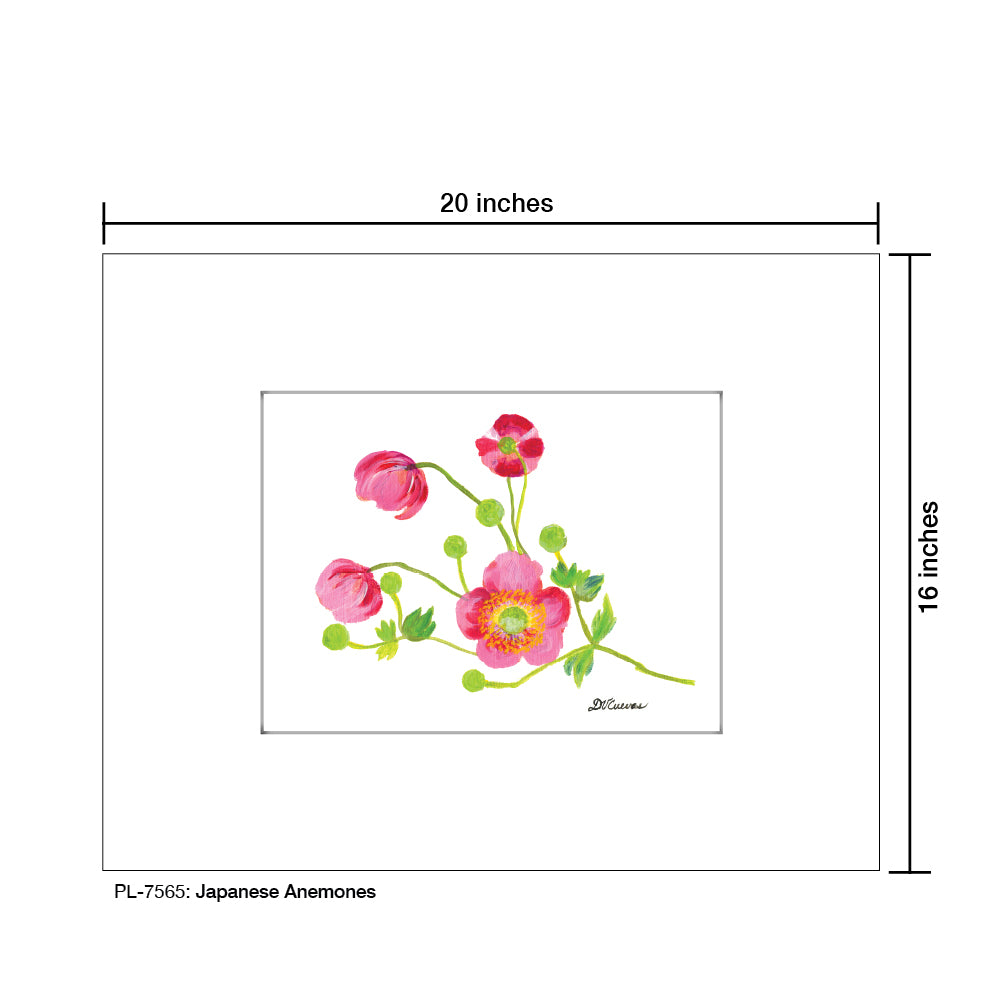 japanese anemones, Print (#7565) - Printed Canvas