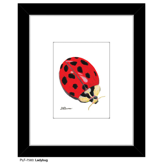 Ladybug, Print (#7583A), Print Matted, www.printedcanvas.com