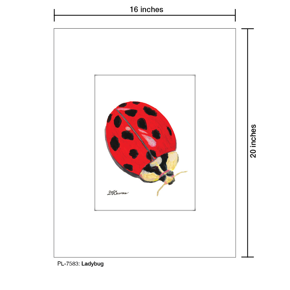 Ladybug, Print (#7583A), Printe Matted, www.printedcanvas.com