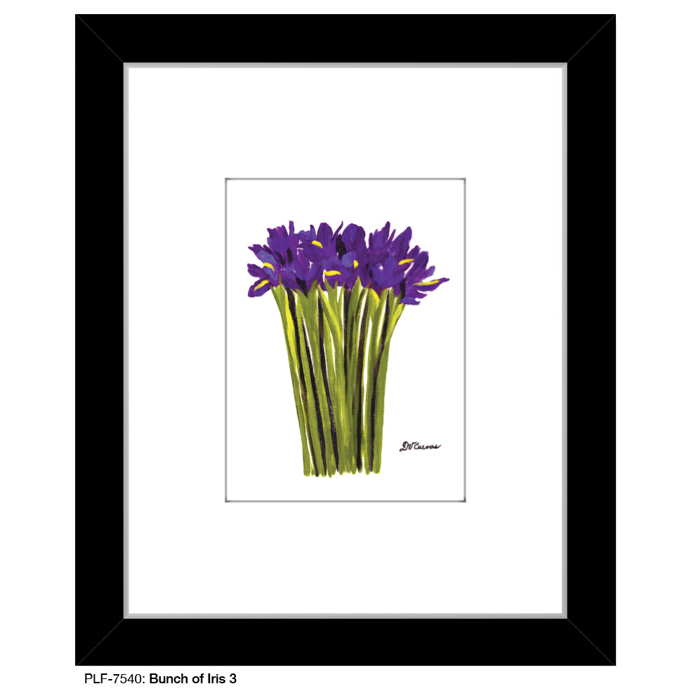 Bunch of Iris 3, Print (#7540A), Print Matted, www.printedcanvas.com